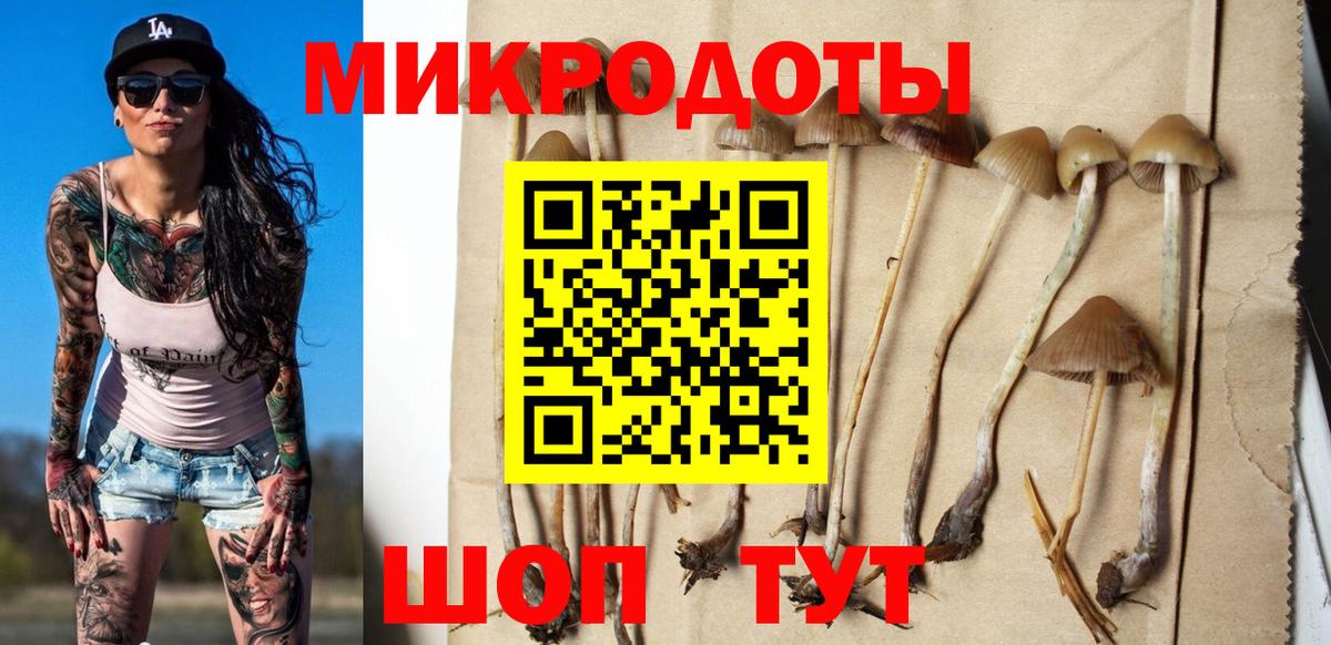 Галлюциногенные грибы MAGIC MUSHROOMS Коркино